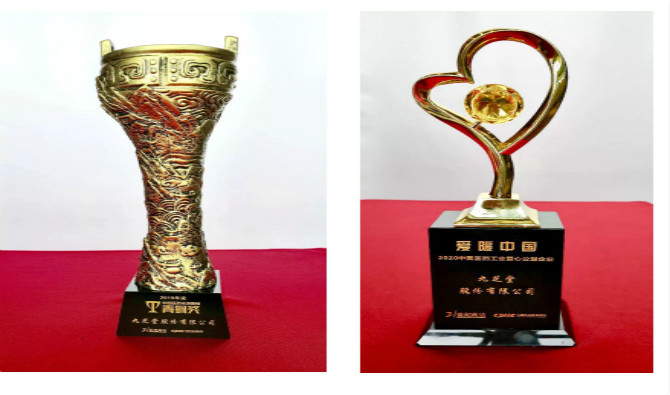 熱烈祝賀九芝堂榮獲2019年度中國醫(yī)藥市場營銷青銅獎，與“愛暖中國——2020中國醫(yī)藥工業(yè)愛心公益企業(yè)”稱號！