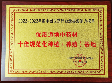 裸花紫珠規(guī)范化種植 道地藥材好品質